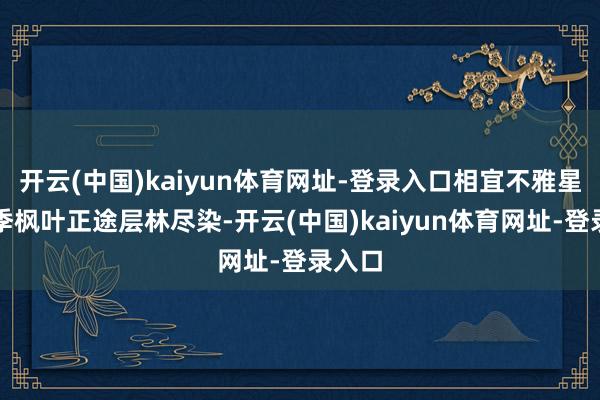 开云(中国)kaiyun体育网址-登录入口相宜不雅星；秋季枫叶正途层林尽染-开云(中国)kaiyun体育网址-登录入口