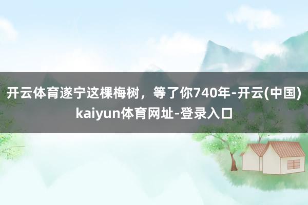 开云体育遂宁这棵梅树，等了你740年-开云(中国)kaiyun体育网址-登录入口