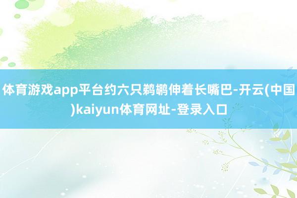 体育游戏app平台约六只鹈鹕伸着长嘴巴-开云(中国)kaiyun体育网址-登录入口