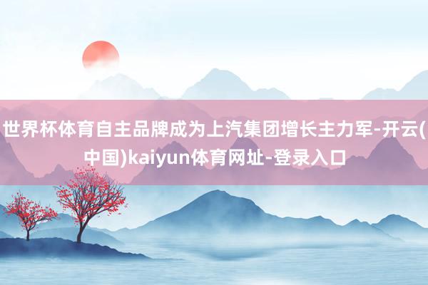 世界杯体育自主品牌成为上汽集团增长主力军-开云(中国)kaiyun体育网址-登录入口