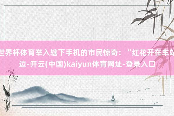 世界杯体育举入辖下手机的市民惊奇：“红花开在车站边-开云(中国)kaiyun体育网址-登录入口