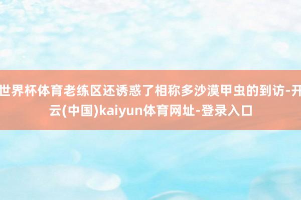 世界杯体育老练区还诱惑了相称多沙漠甲虫的到访-开云(中国)kaiyun体育网址-登录入口