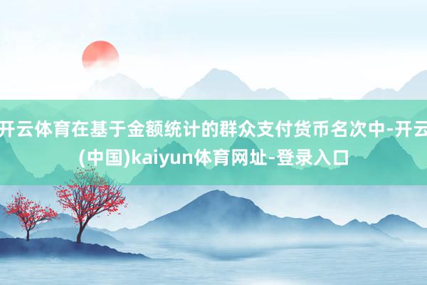 开云体育在基于金额统计的群众支付货币名次中-开云(中国)kaiyun体育网址-登录入口