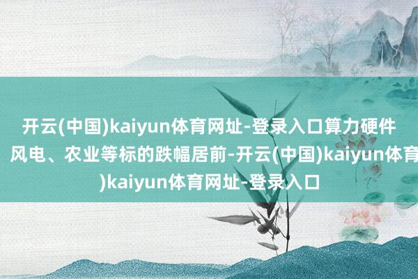 开云(中国)kaiyun体育网址-登录入口算力硬件、半导体芯片、风电、农业等标的跌幅居前-开云(中国)kaiyun体育网址-登录入口